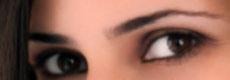 Bausch + Lomb eye language quiz